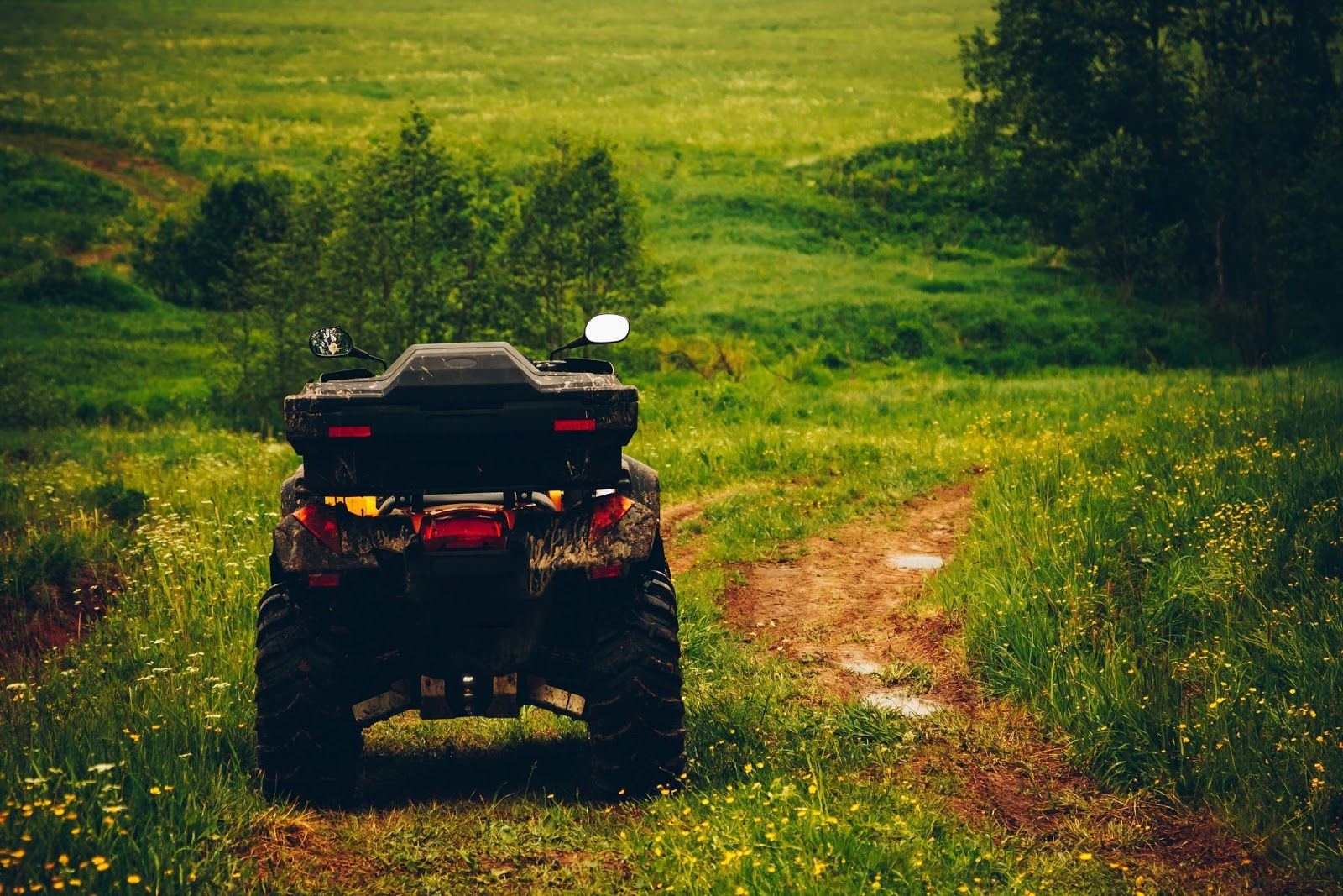 A black quad bike with red elements, parked on a dirt trail amidst a vibrant green field.