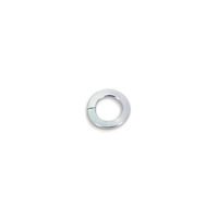 Genuine Diff Housing Centre Spring Washer to suit Nissan Patrol GQ Y60 GU Y61