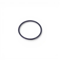 Genuine Nissan Thermostat Housing Large O-Ring to suit Nissan Patrol GU Y61 TB48