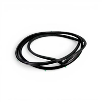 Genuine Nissan Left Hand Rear Door Seal to suit Nissan Patrol GQ Y60