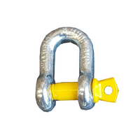 D shackle stamped and rated 8mm 0.75t