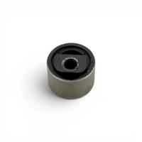 Castor Correction Bush