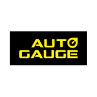 Auto Gauge